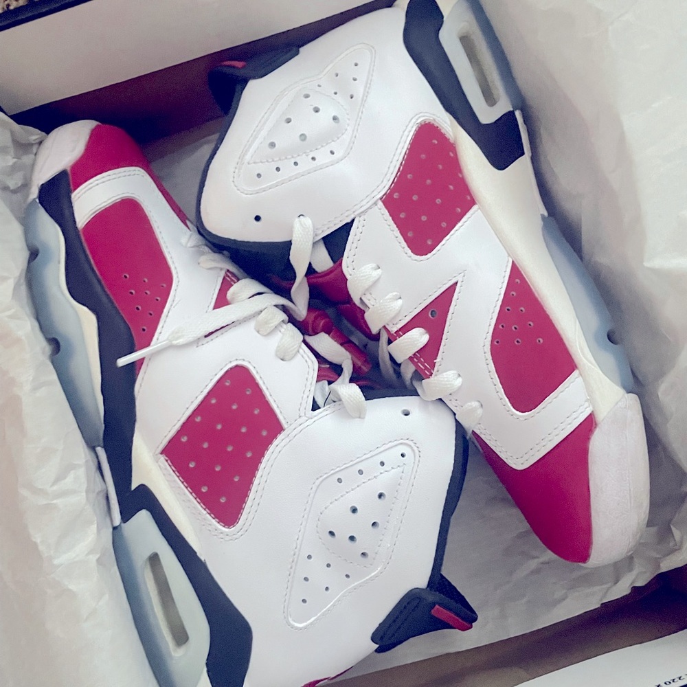 jordan carmine 6s